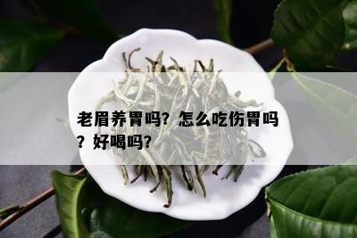 老眉养胃吗？怎么吃伤胃吗？好喝吗？