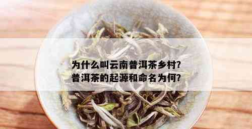 为什么叫云南普洱茶乡村？普洱茶的起源和命名为何？