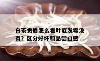 白茶贡眉怎么看叶底发霉没有？区分好坏和品尝口感