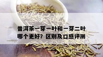 普洱茶一芽一叶和一芽二叶哪个更好？区别及口感评测