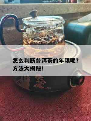 怎么判断普洱茶的年限呢？方法大揭秘！