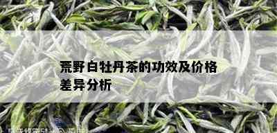 荒野白牡丹茶的功效及价格差异分析