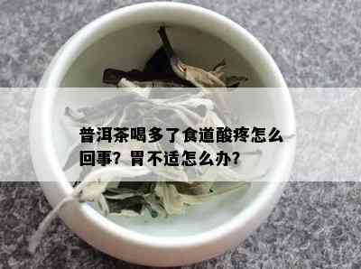 普洱茶喝多了食道酸疼怎么回事？胃不适怎么办？