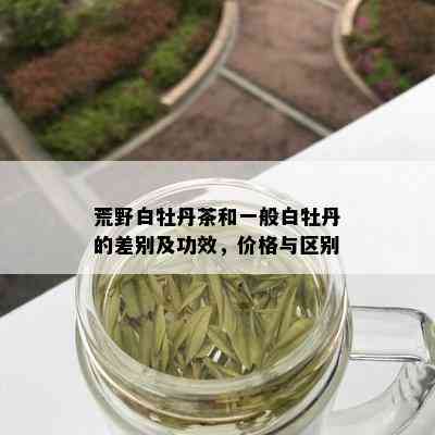 荒野白牡丹茶和一般白牡丹的差别及功效，价格与区别