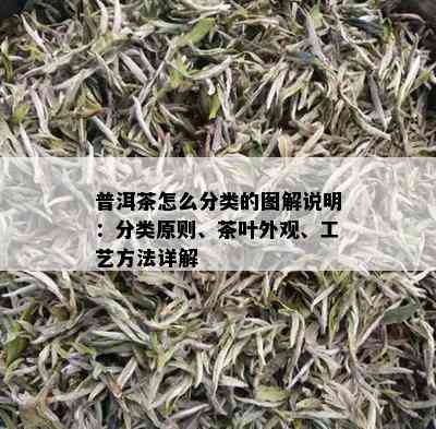 普洱茶怎么分类的图解说明：分类原则、茶叶外观、工艺方法详解