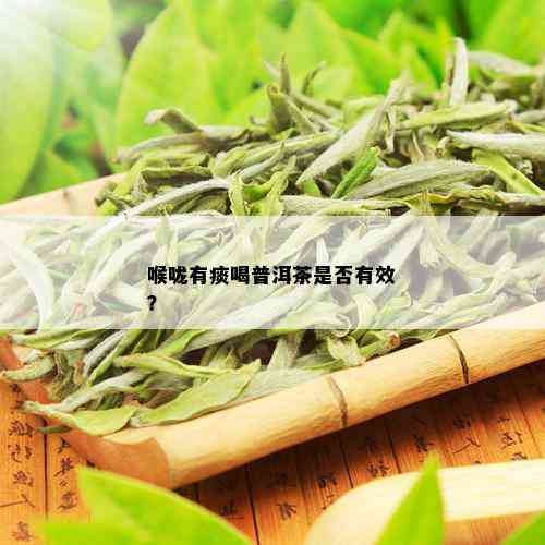 喉咙有痰喝普洱茶是否有效？