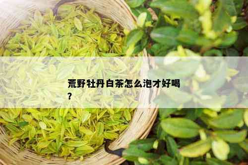 荒野牡丹白茶怎么泡才好喝？