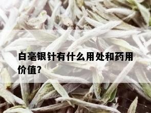 白毫银针有什么用处和用价值？