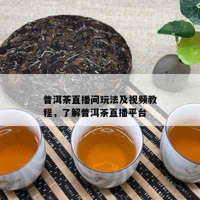 普洱茶直播间玩法及视频教程，了解普洱茶直播平台