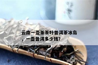 云南一壶茶茶叶普洱茶冰岛，一壶普洱多少钱？