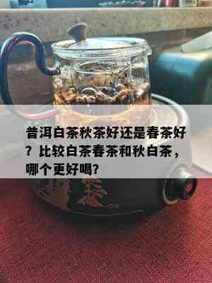 普洱白茶秋茶好还是春茶好？比较白茶春茶和秋白茶，哪个更好喝？