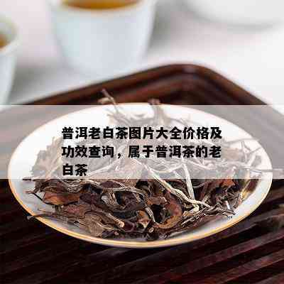 普洱老白茶图片大全价格及功效查询，属于普洱茶的老白茶