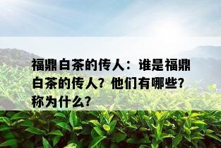 福鼎白茶的传人：谁是福鼎白茶的传人？他们有哪些？称为什么？