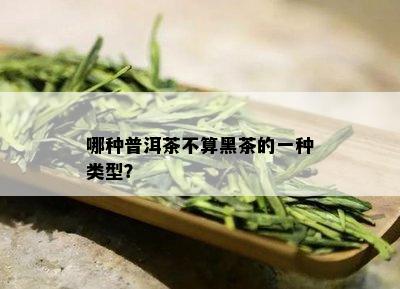 哪种普洱茶不算黑茶的一种类型？