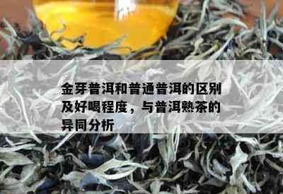 金芽普洱和普通普洱的区别及好喝程度，与普洱熟茶的异同分析