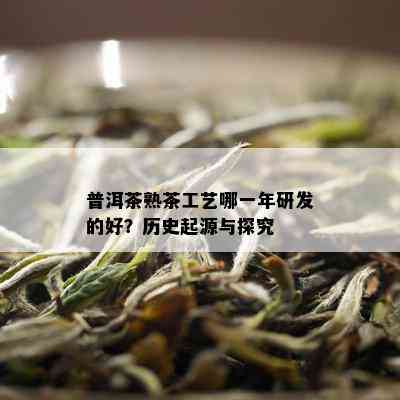 普洱茶熟茶工艺哪一年研发的好？历史起源与探究