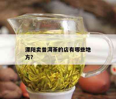 溧阳卖普洱茶的店有哪些地方？