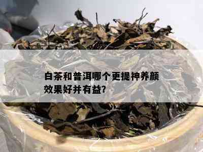 白茶和普洱哪个更提神养颜效果好并有益？