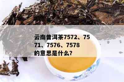 云南普洱茶7572、7571、7576、7578的意思是什么？