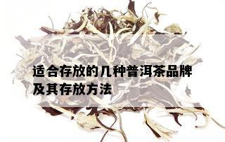 适合存放的几种普洱茶品牌及其存放方法