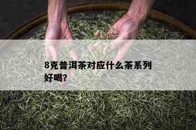 8克普洱茶对应什么茶系列好喝？