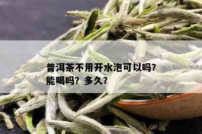 普洱茶不用开水泡可以吗？能喝吗？多久？