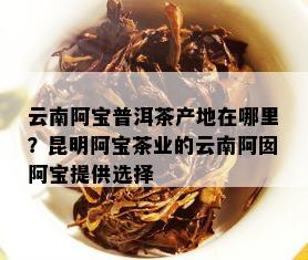 云南阿宝普洱茶产地在哪里？昆明阿宝茶业的云南阿囡阿宝提供选择