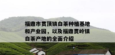 福鼎市贯顶镇白茶种植基地和产业园，以及福鼎贯岭镇白茶产地的全面介绍