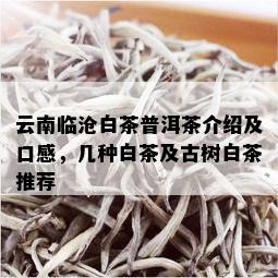 云南临沧白茶普洱茶介绍及口感，几种白茶及古树白茶推荐