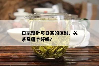 白毫银针与白茶的区别、关系及哪个好喝？