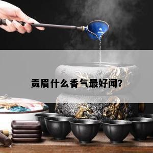 贡眉什么香气更好闻？