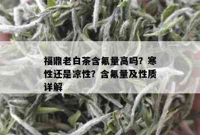 福鼎老白茶含氟量高吗？寒性还是凉性？含氟量及性质详解