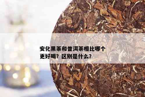 安化黑茶和普洱茶相比哪个更好喝？区别是什么？