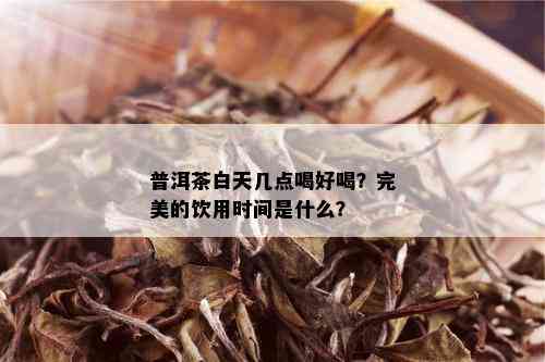 普洱茶白天几点喝好喝？完美的饮用时间是什么？