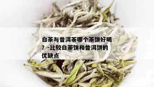 白茶与普洱茶哪个茶饼好喝？-比较白茶饼和普洱饼的优缺点