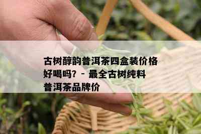 古树醇韵普洱茶四盒装价格好喝吗？- 最全古树纯料普洱茶品牌价