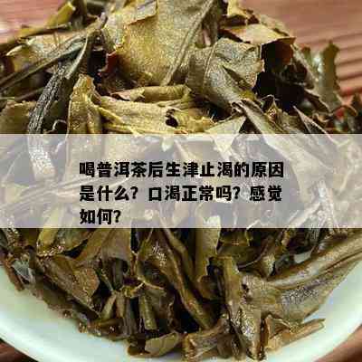 喝普洱茶后生津止渴的原因是什么？口渴正常吗？感觉如何？