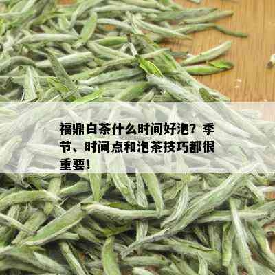 福鼎白茶什么时间好泡？季节、时间点和泡茶技巧都很重要！