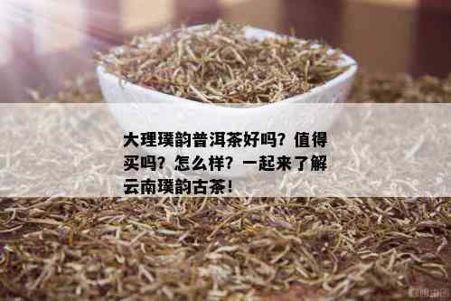 大理璞韵普洱茶好吗？值得买吗？怎么样？一起来了解云南璞韵古茶！