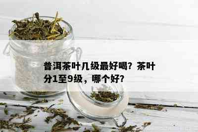 普洱茶叶几级更好喝？茶叶分1至9级，哪个好？