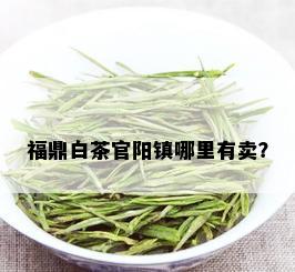 福鼎白茶官阳镇哪里有卖？