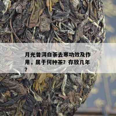 月光普洱白茶去寒功效及作用，属于何种茶？存放几年？