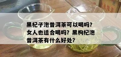 黑杞子泡普洱茶可以喝吗？女人也适合喝吗？黑枸杞泡普洱茶有什么好处？