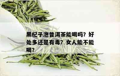 黑杞子泡普洱茶能喝吗？好处多还是有？女人能不能喝？