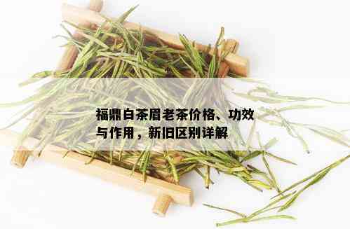 福鼎白茶眉老茶价格、功效与作用，新旧区别详解