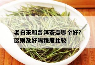 老白茶和普洱茶壶哪个好？区别及好喝程度比较