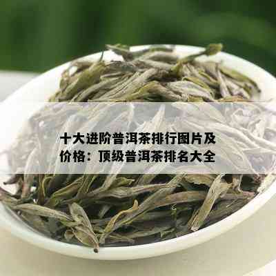 十大进阶普洱茶排行图片及价格：顶级普洱茶排名大全