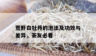 荒野白牡丹的泡法及功效与差异，茶友必看