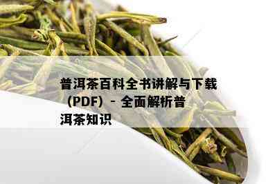 普洱茶百科全书讲解与下载（PDF）- 全面解析普洱茶知识