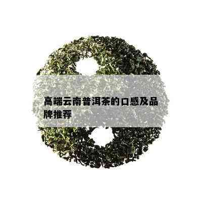 高端云南普洱茶的口感及品牌推荐